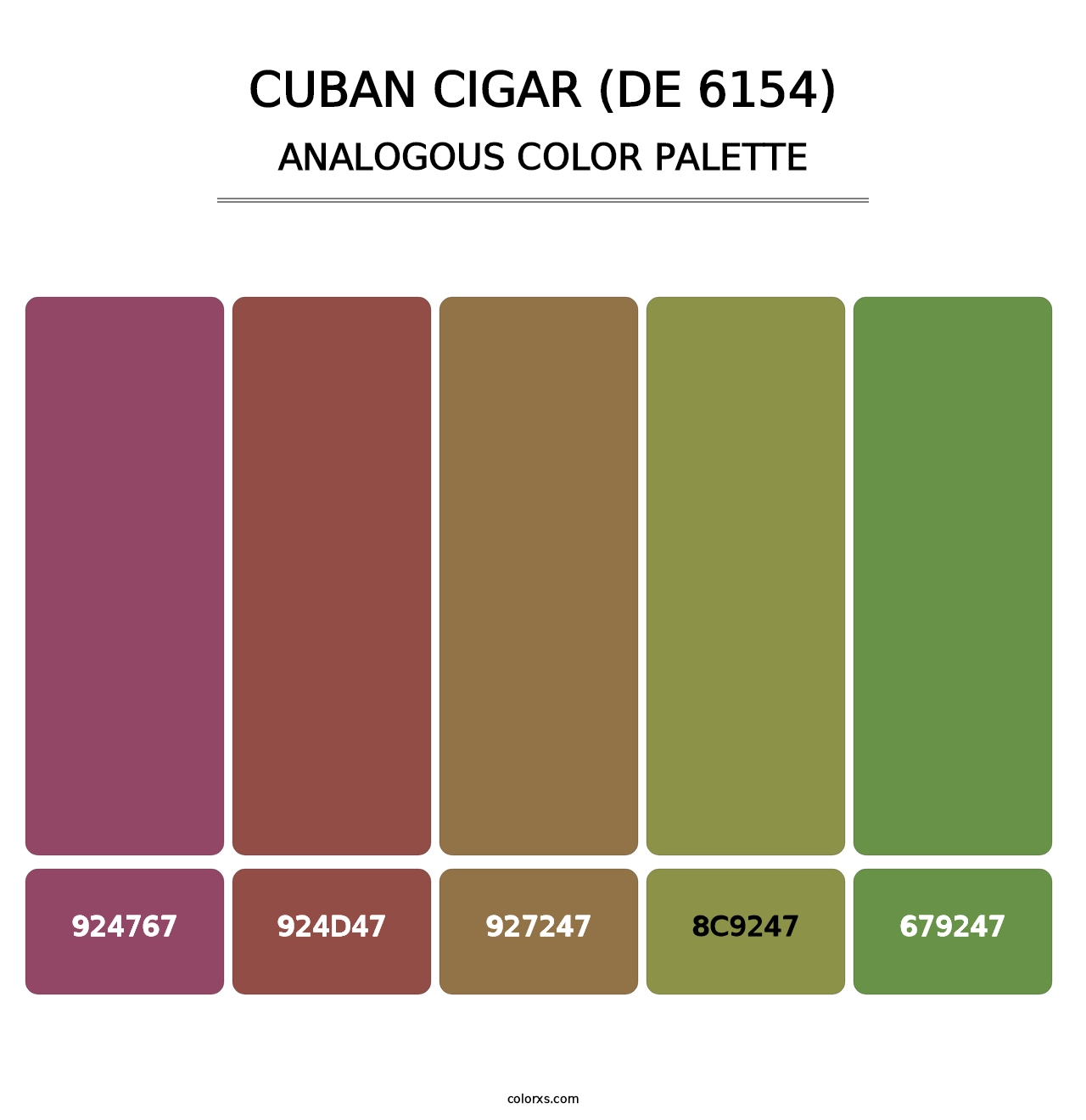 Cuban Cigar (DE 6154) - Analogous Color Palette