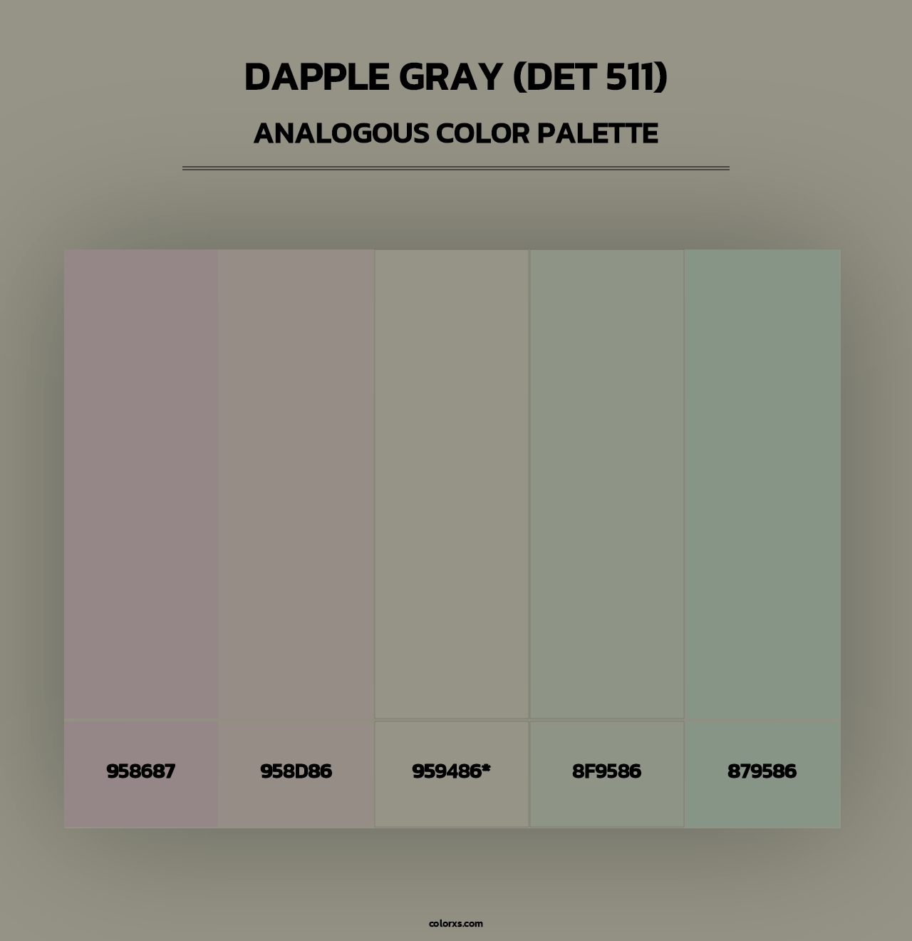Dapple Gray (DET 511) - Analogous Color Palette