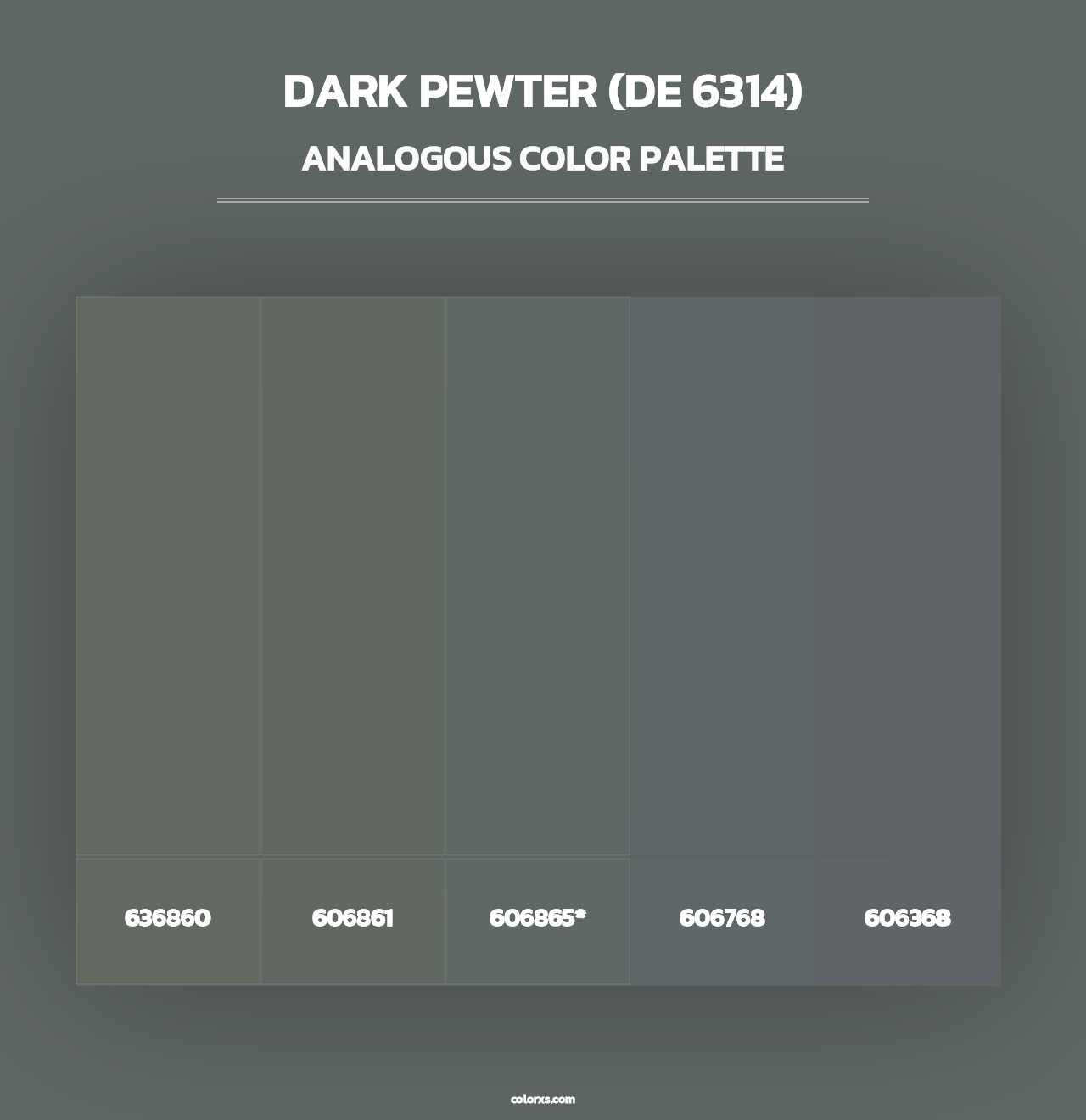 Dark Pewter (DE 6314) - Analogous Color Palette