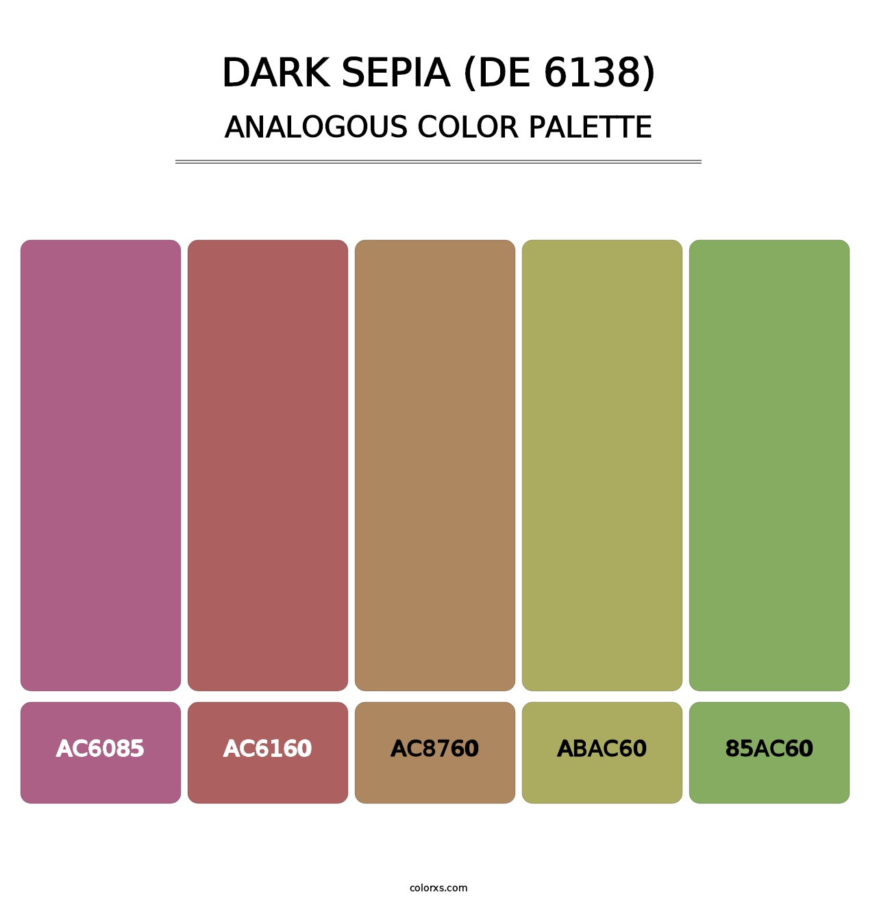 Dark Sepia (DE 6138) - Analogous Color Palette