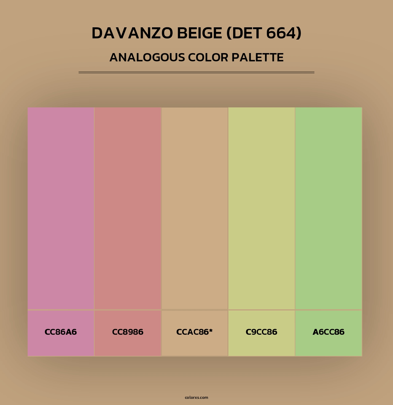 DaVanzo Beige (DET 664) - Analogous Color Palette