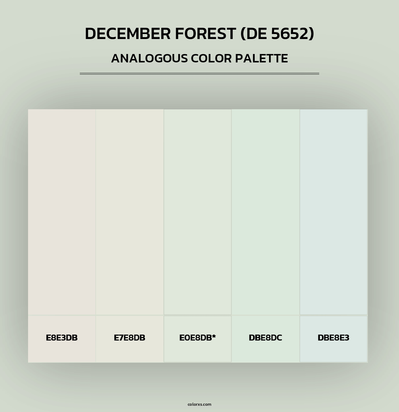 December Forest (DE 5652) - Analogous Color Palette