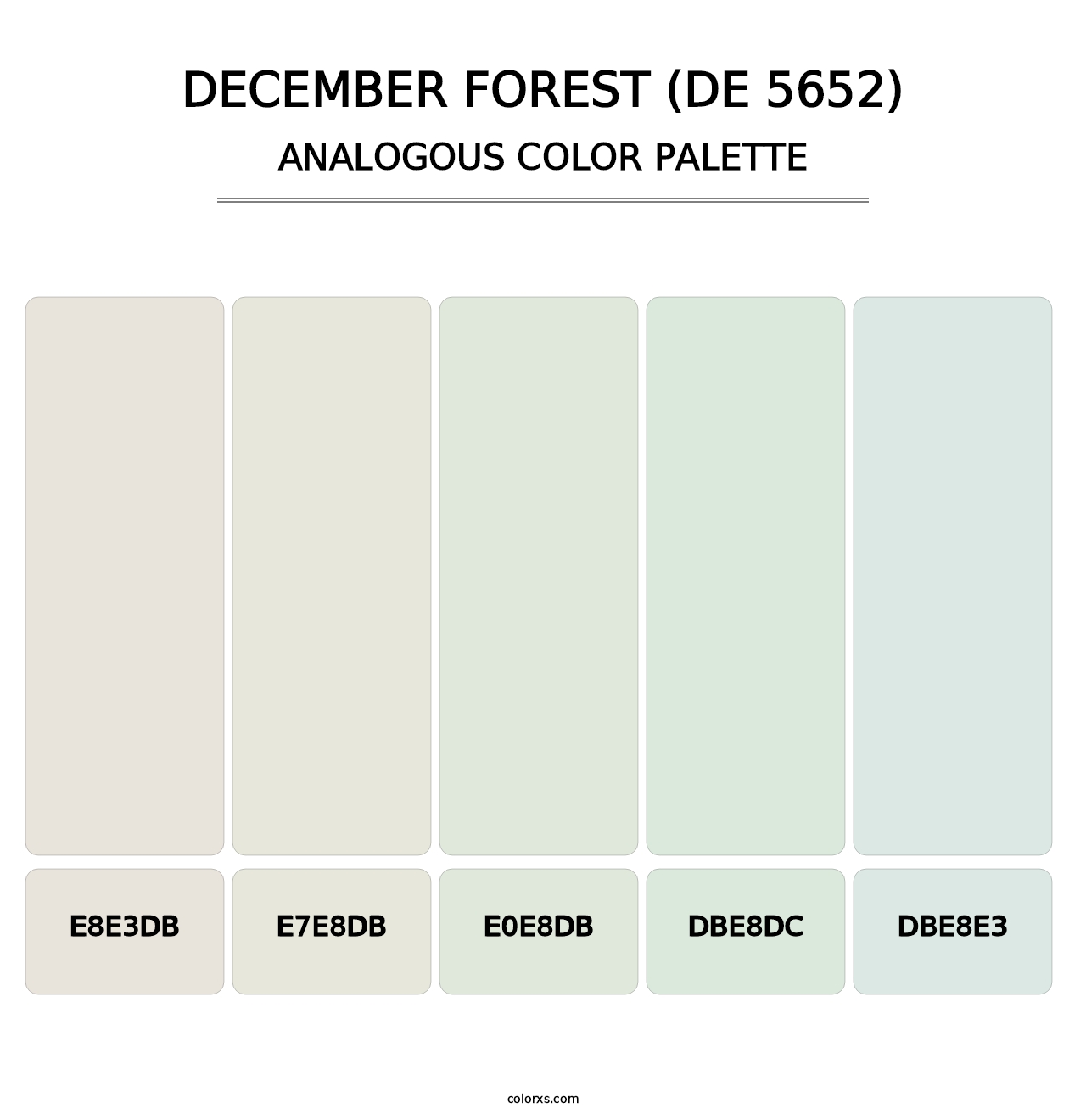 December Forest (DE 5652) - Analogous Color Palette