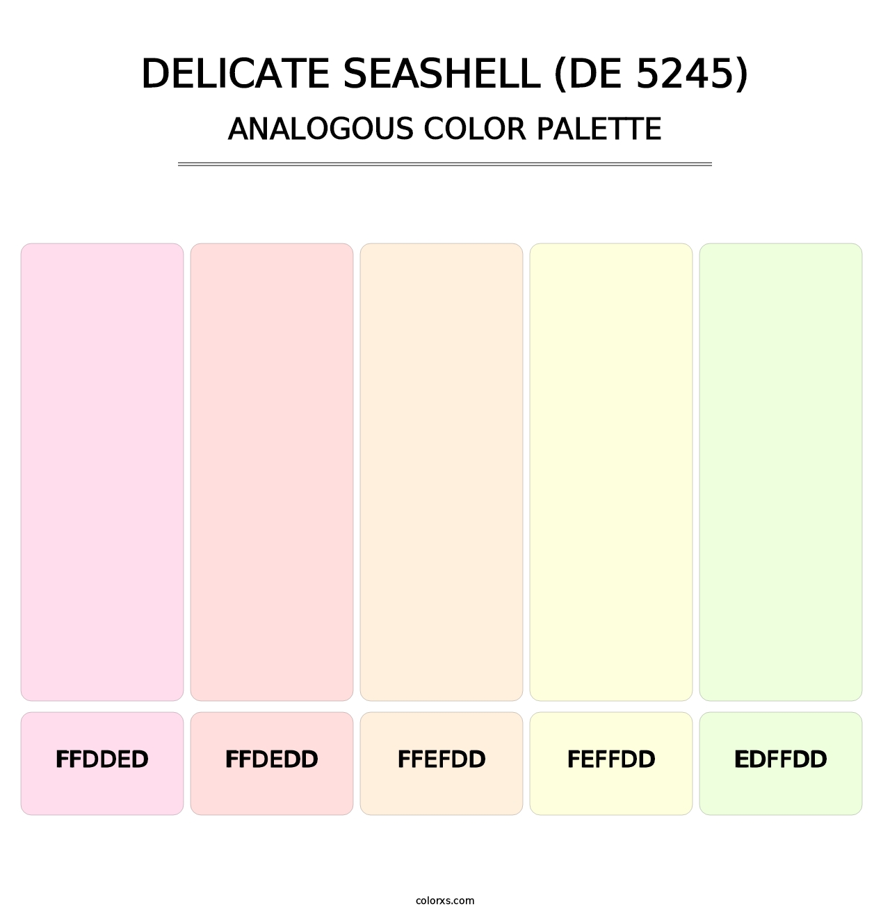 Delicate Seashell (DE 5245) - Analogous Color Palette