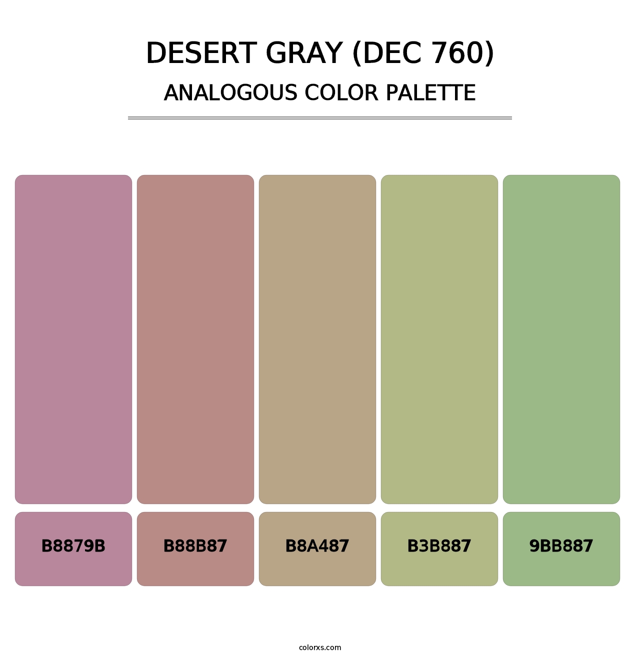 Desert Gray (DEC 760) - Analogous Color Palette