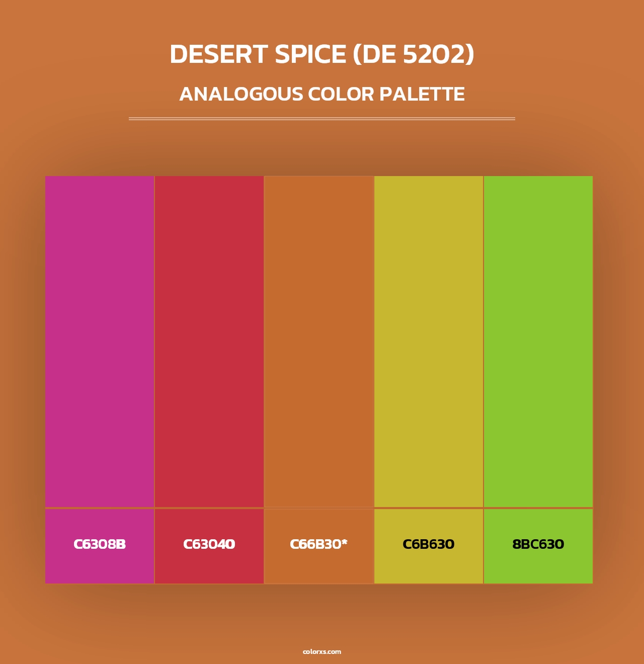 Desert Spice (DE 5202) - Analogous Color Palette
