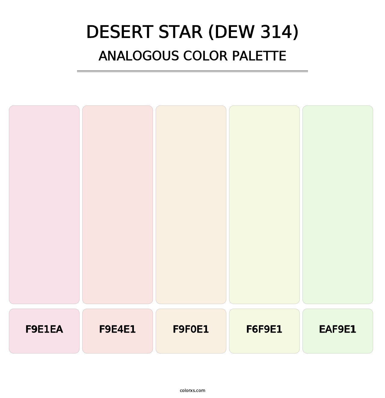 Desert Star (DEW 314) - Analogous Color Palette
