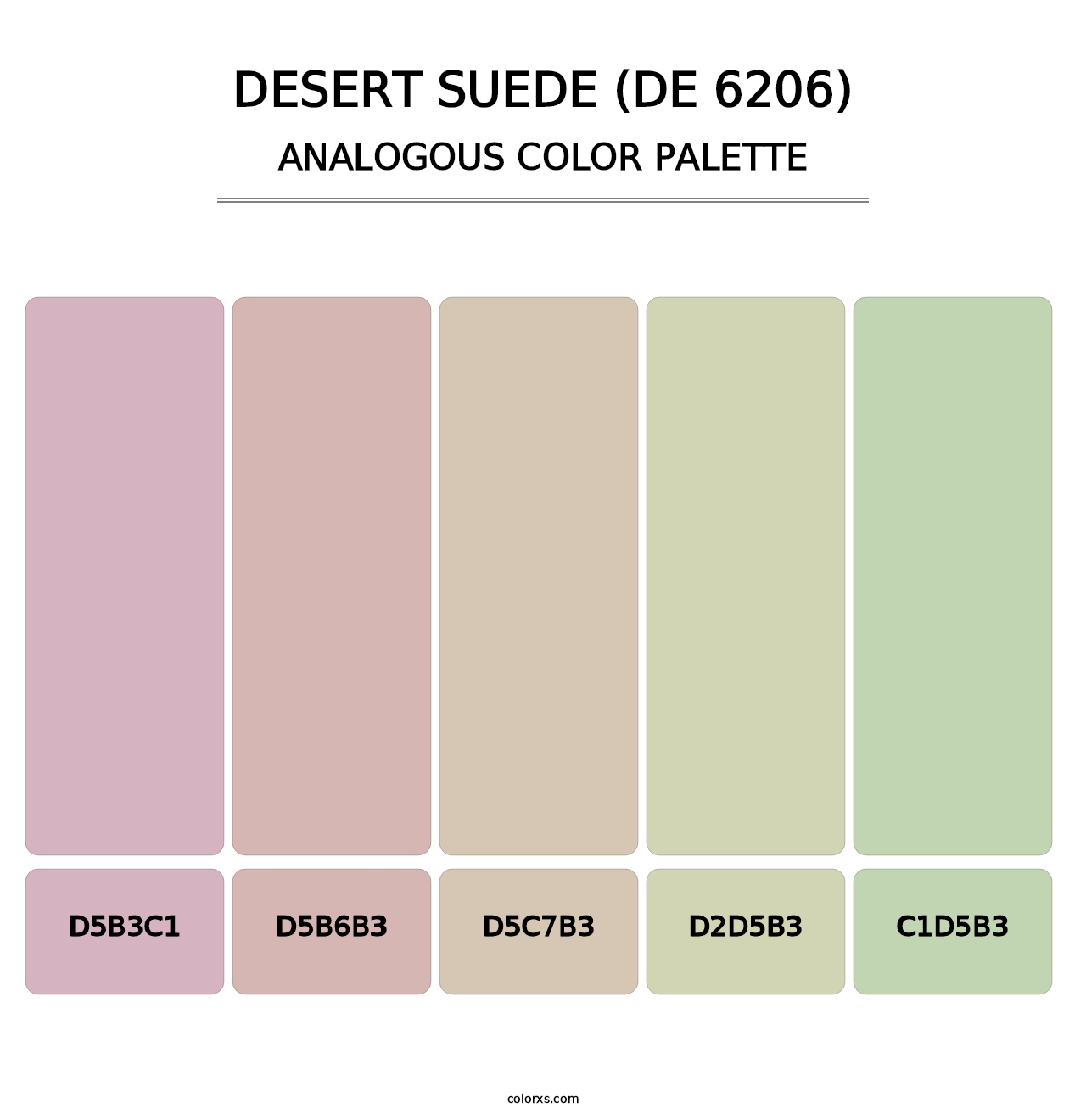 Desert Suede (DE 6206) - Analogous Color Palette