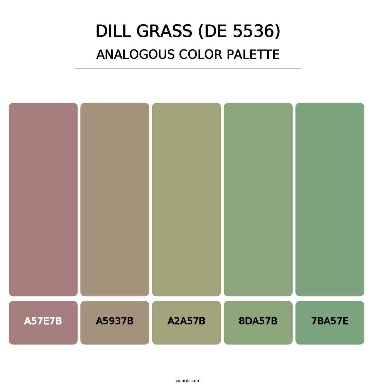 Dill Grass (DE 5536) - Analogous Color Palette