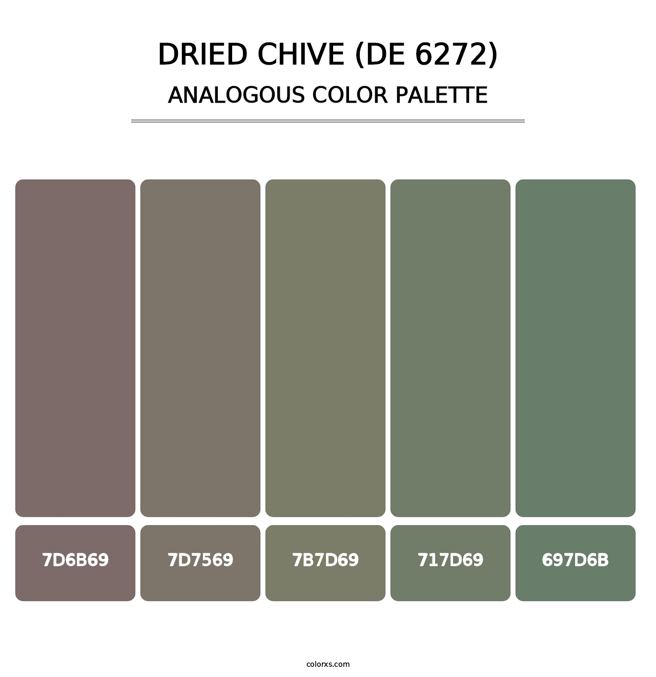 Dried Chive (DE 6272) - Analogous Color Palette