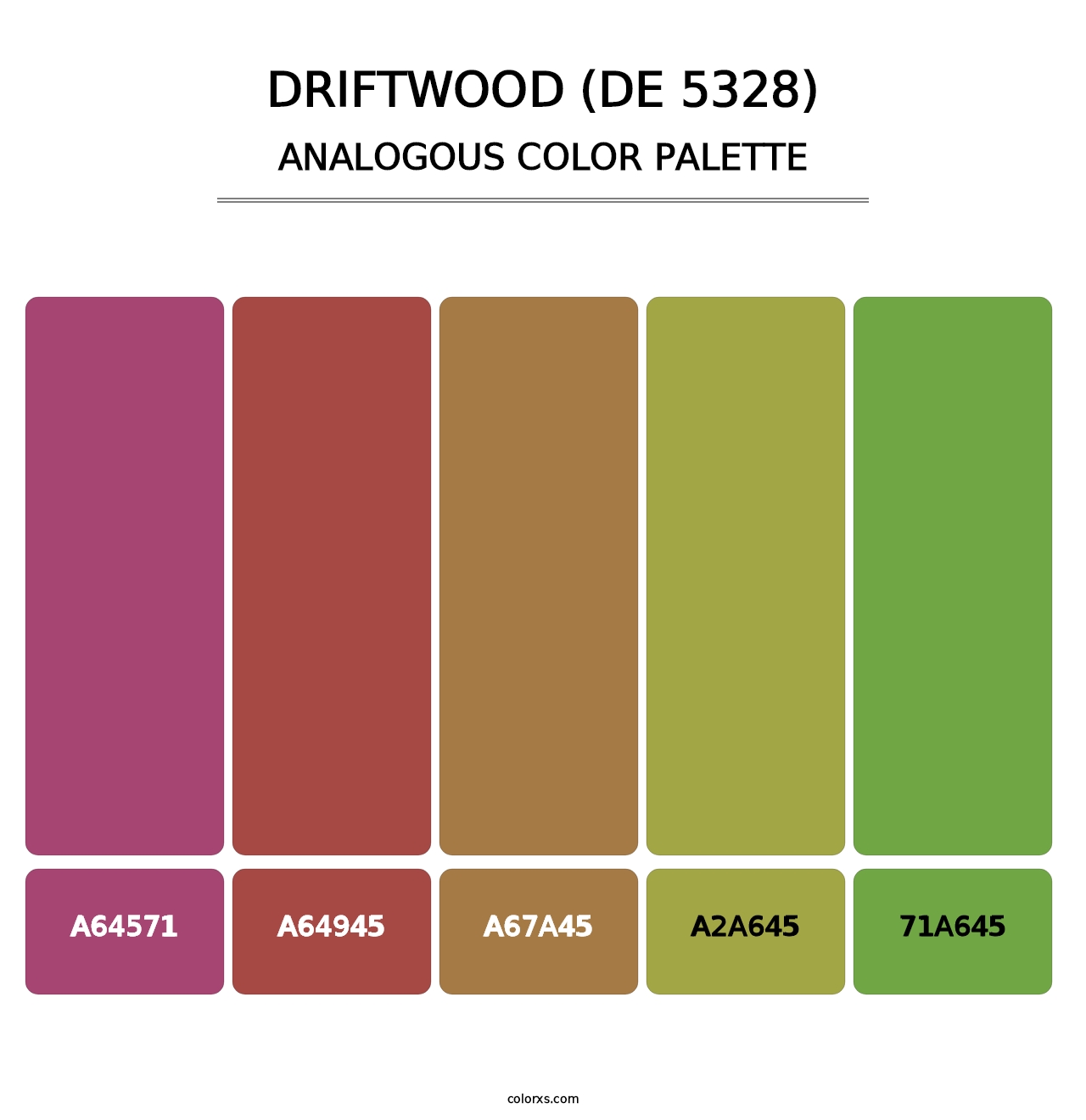 Driftwood (DE 5328) - Analogous Color Palette