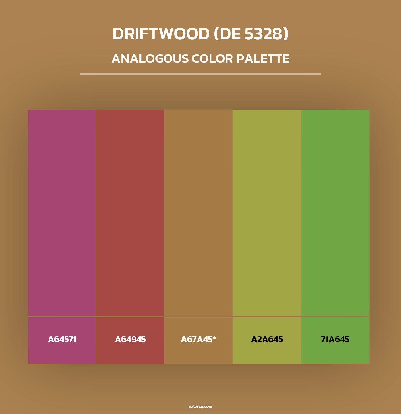 Driftwood (DE 5328) - Analogous Color Palette