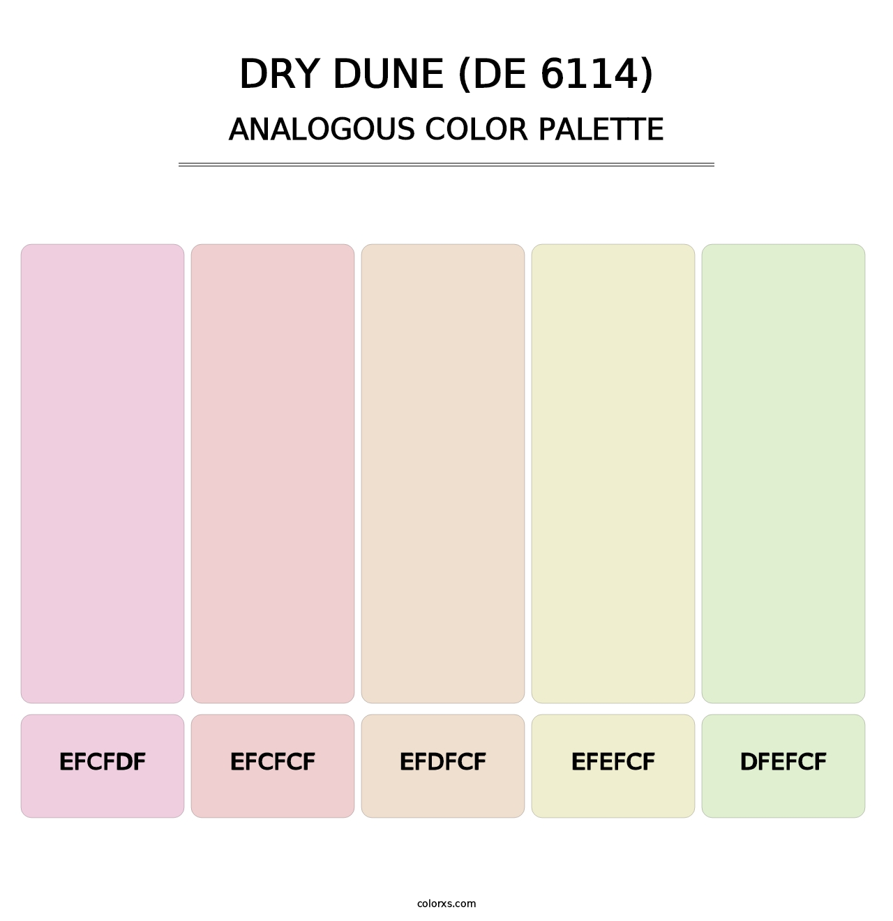Dry Dune (DE 6114) - Analogous Color Palette