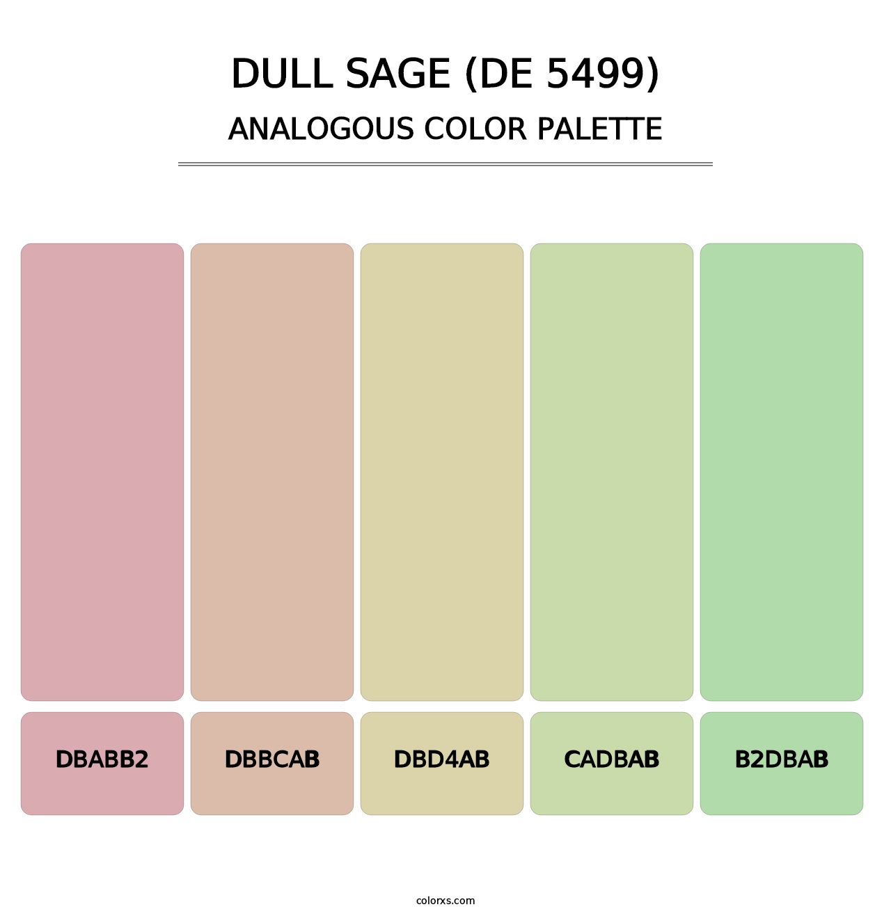 Dull Sage (DE 5499) - Analogous Color Palette