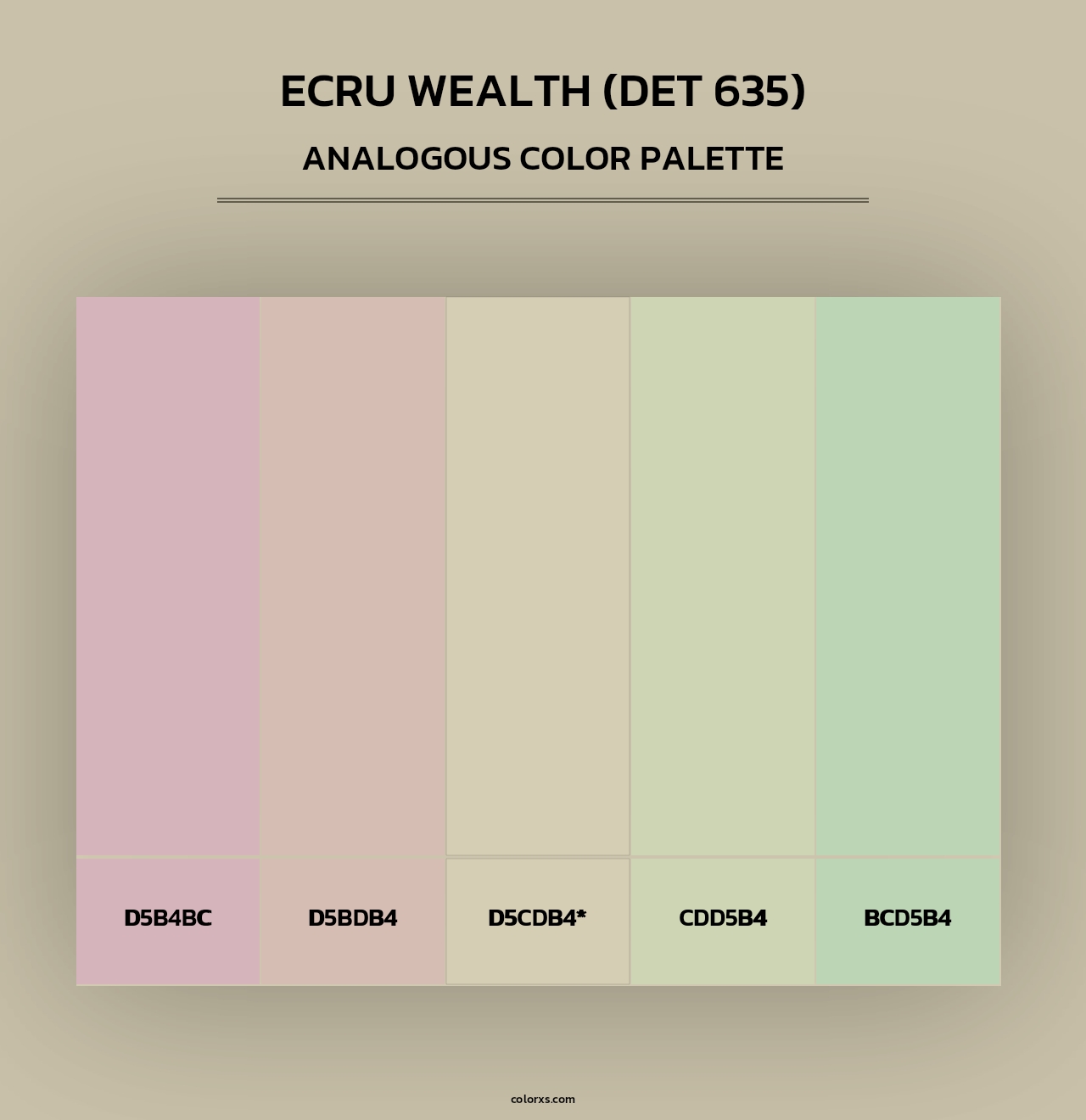Ecru Wealth (DET 635) - Analogous Color Palette