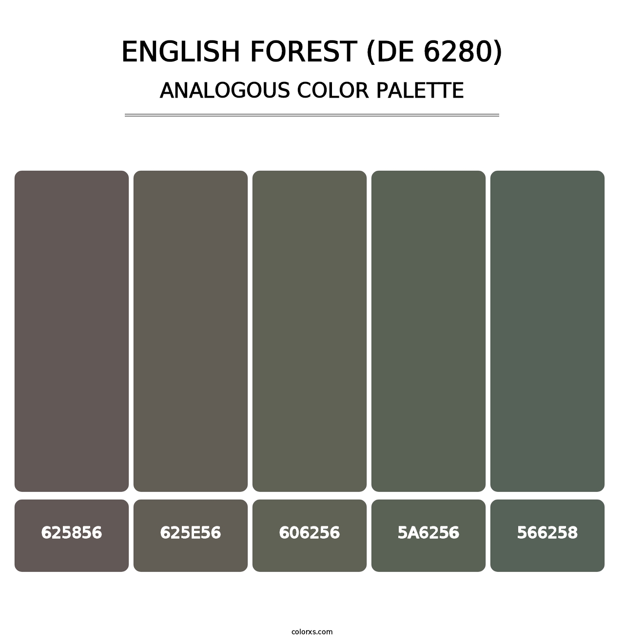 English Forest (DE 6280) - Analogous Color Palette