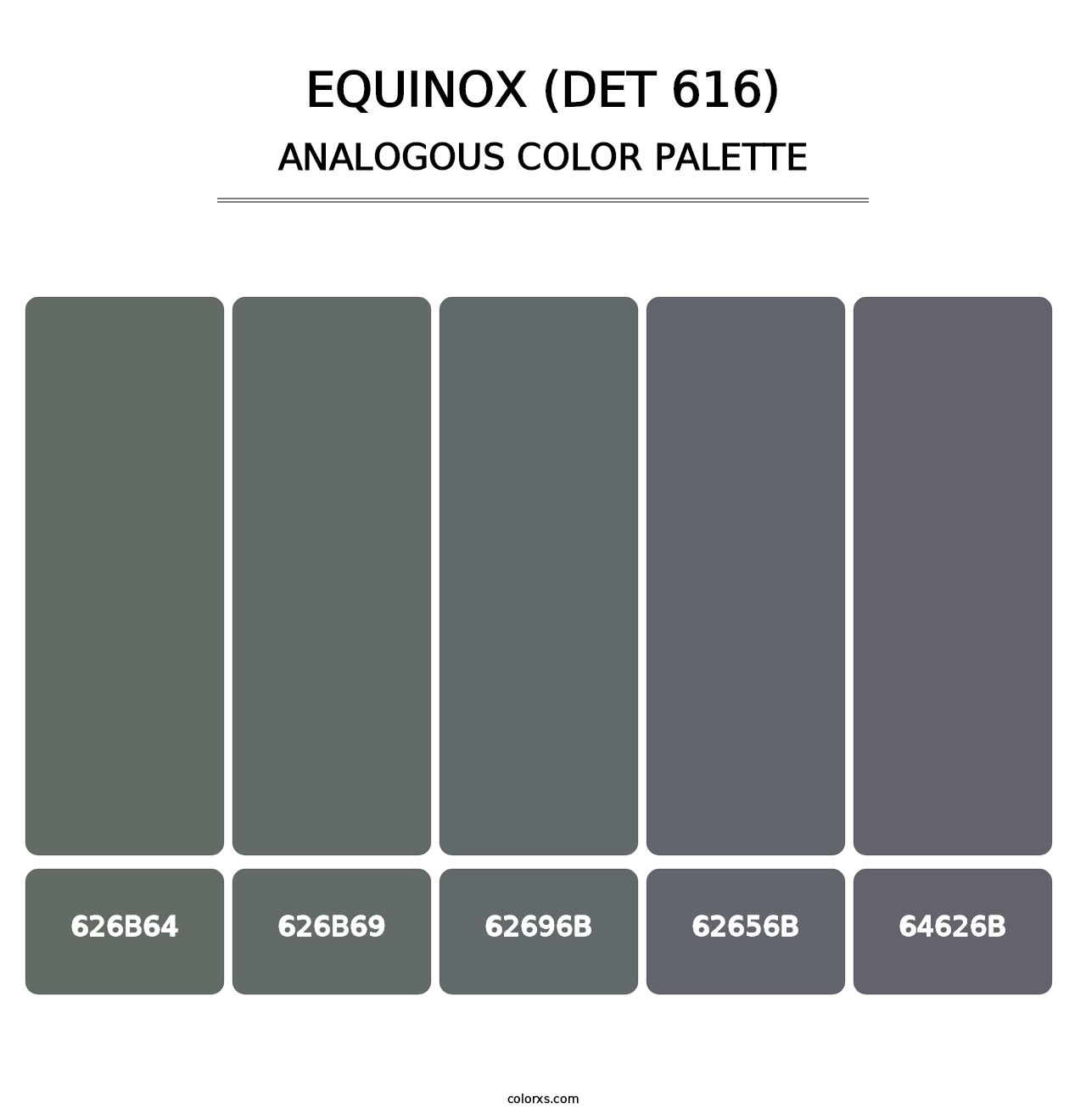 Equinox (DET 616) - Analogous Color Palette