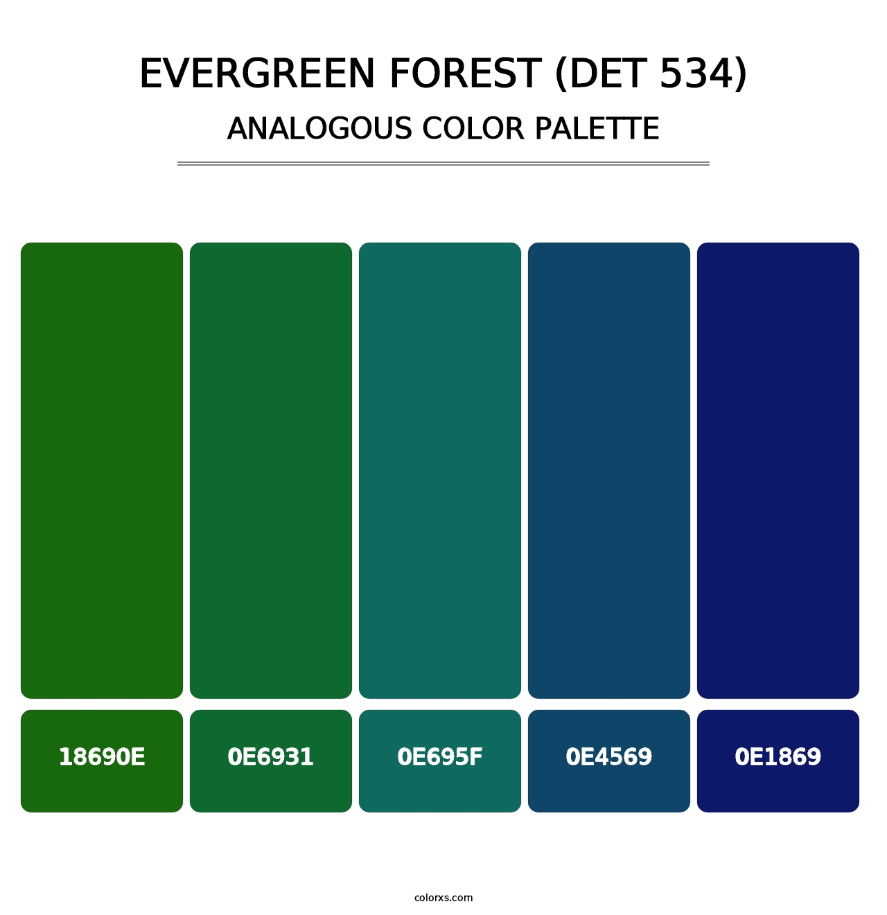 Evergreen Forest (DET 534) - Analogous Color Palette