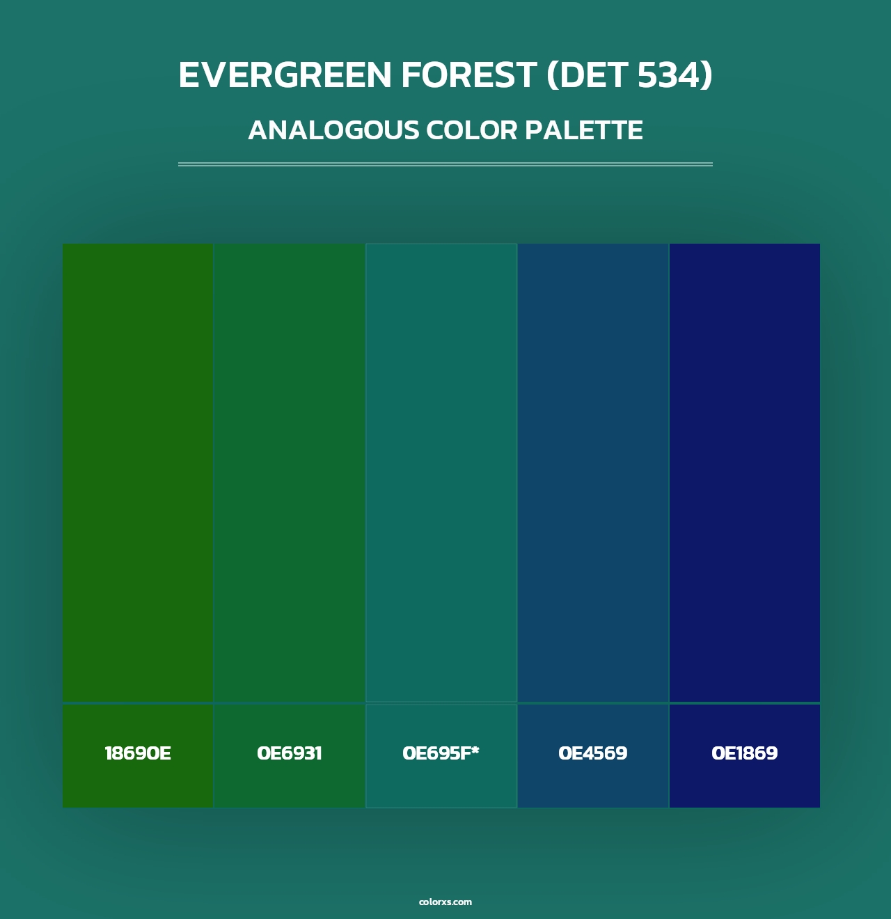 Evergreen Forest (DET 534) - Analogous Color Palette