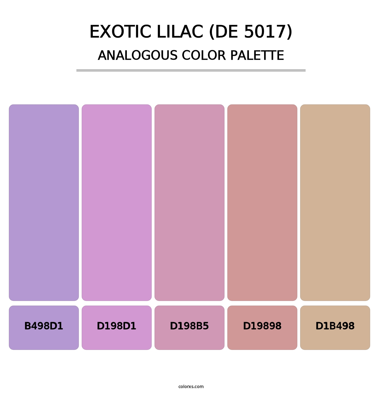 Exotic Lilac (DE 5017) - Analogous Color Palette