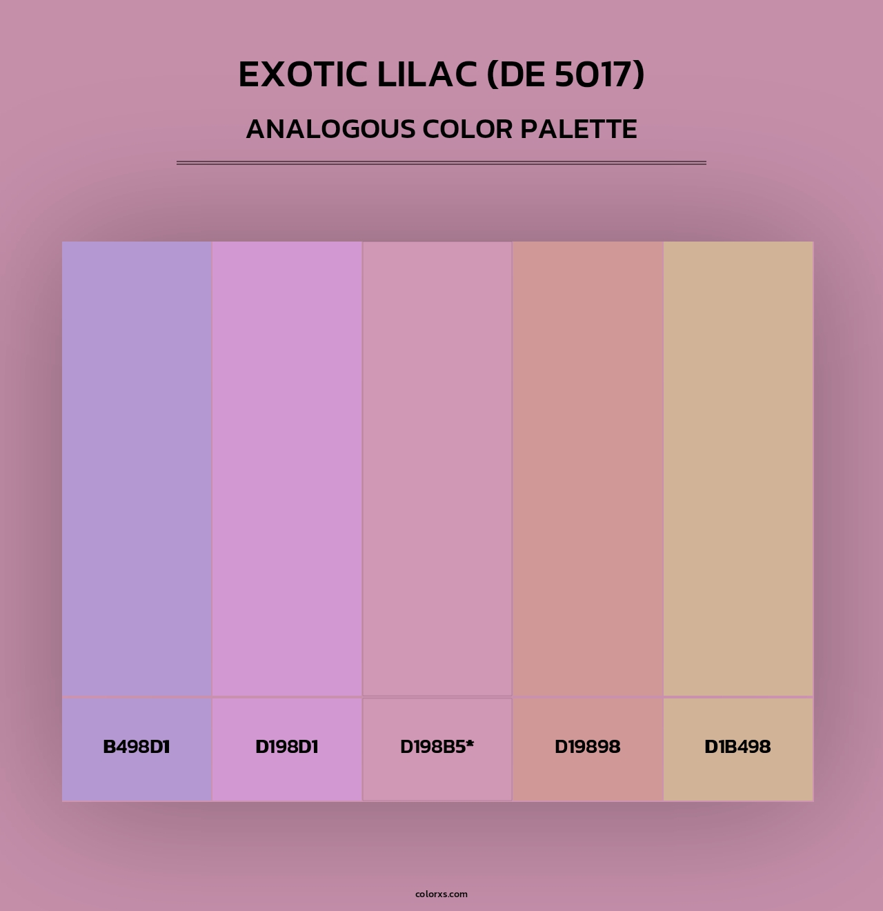 Exotic Lilac (DE 5017) - Analogous Color Palette