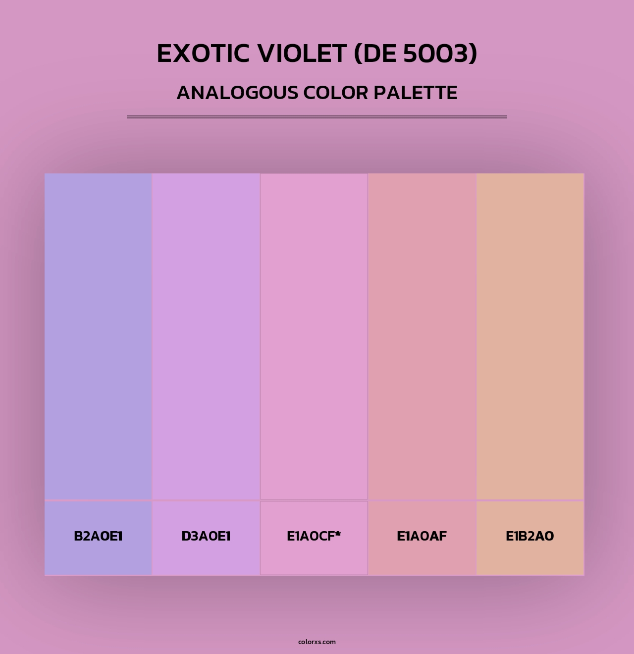 Exotic Violet (DE 5003) - Analogous Color Palette