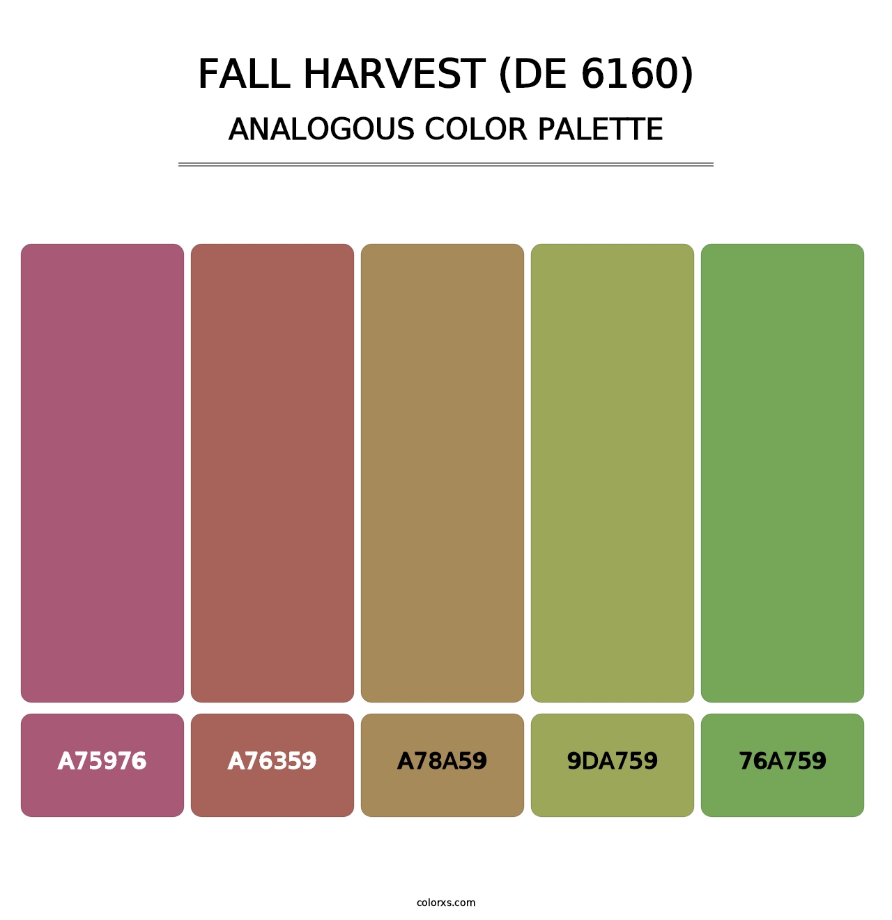 Fall Harvest (DE 6160) - Analogous Color Palette