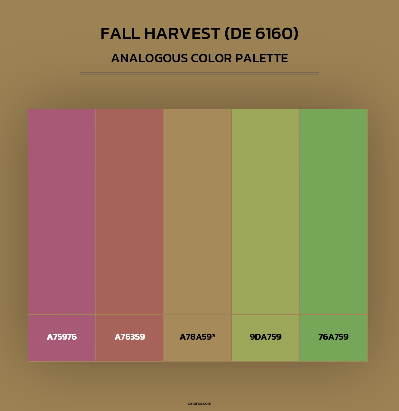 Fall Harvest (DE 6160) - Analogous Color Palette