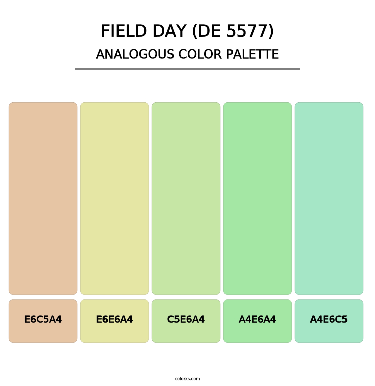 Field Day (DE 5577) - Analogous Color Palette