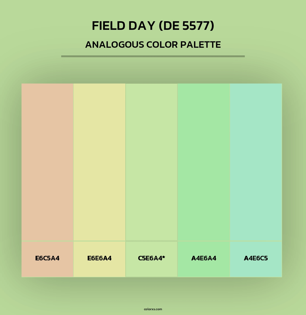 Field Day (DE 5577) - Analogous Color Palette