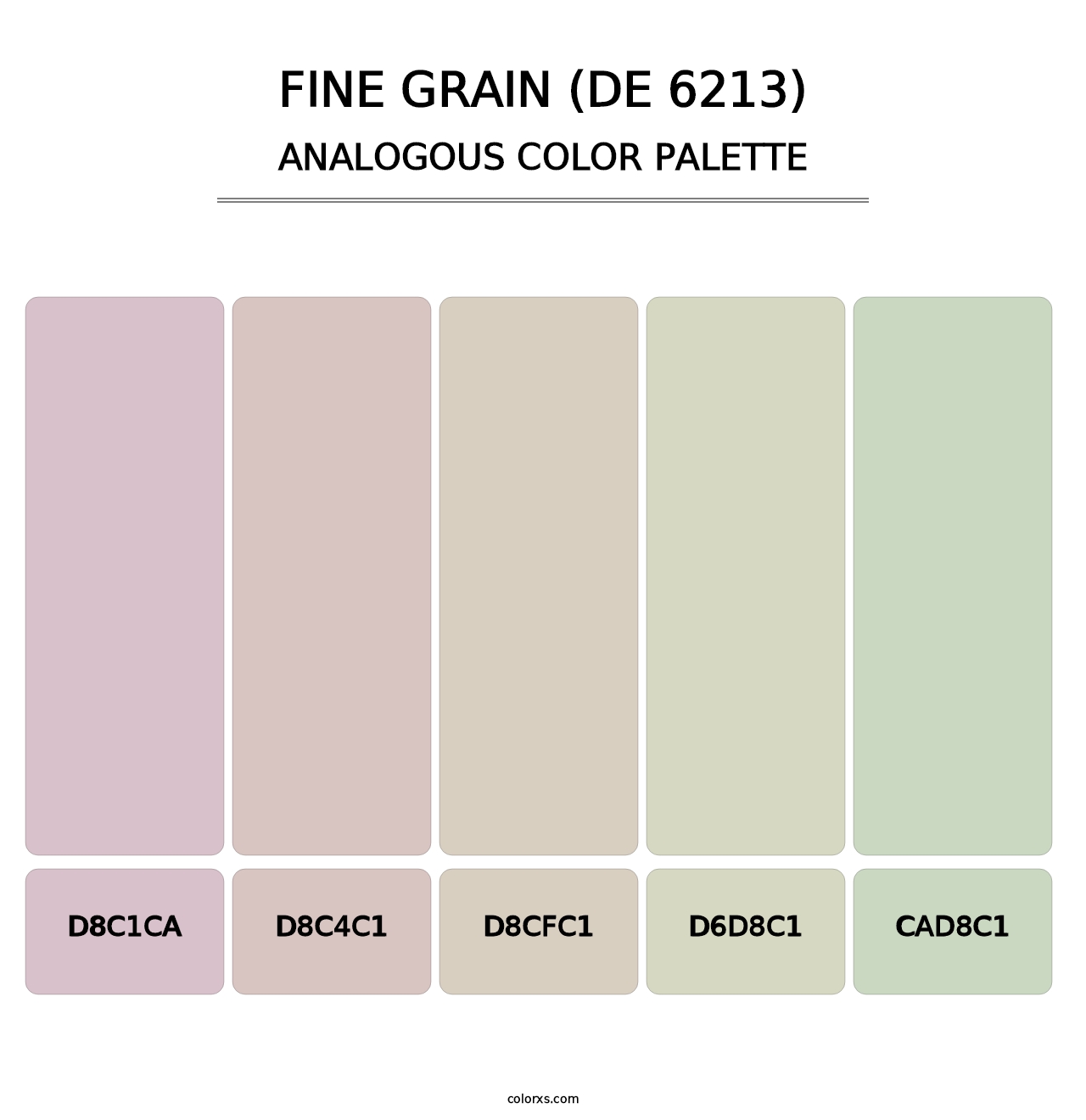 Fine Grain (DE 6213) - Analogous Color Palette
