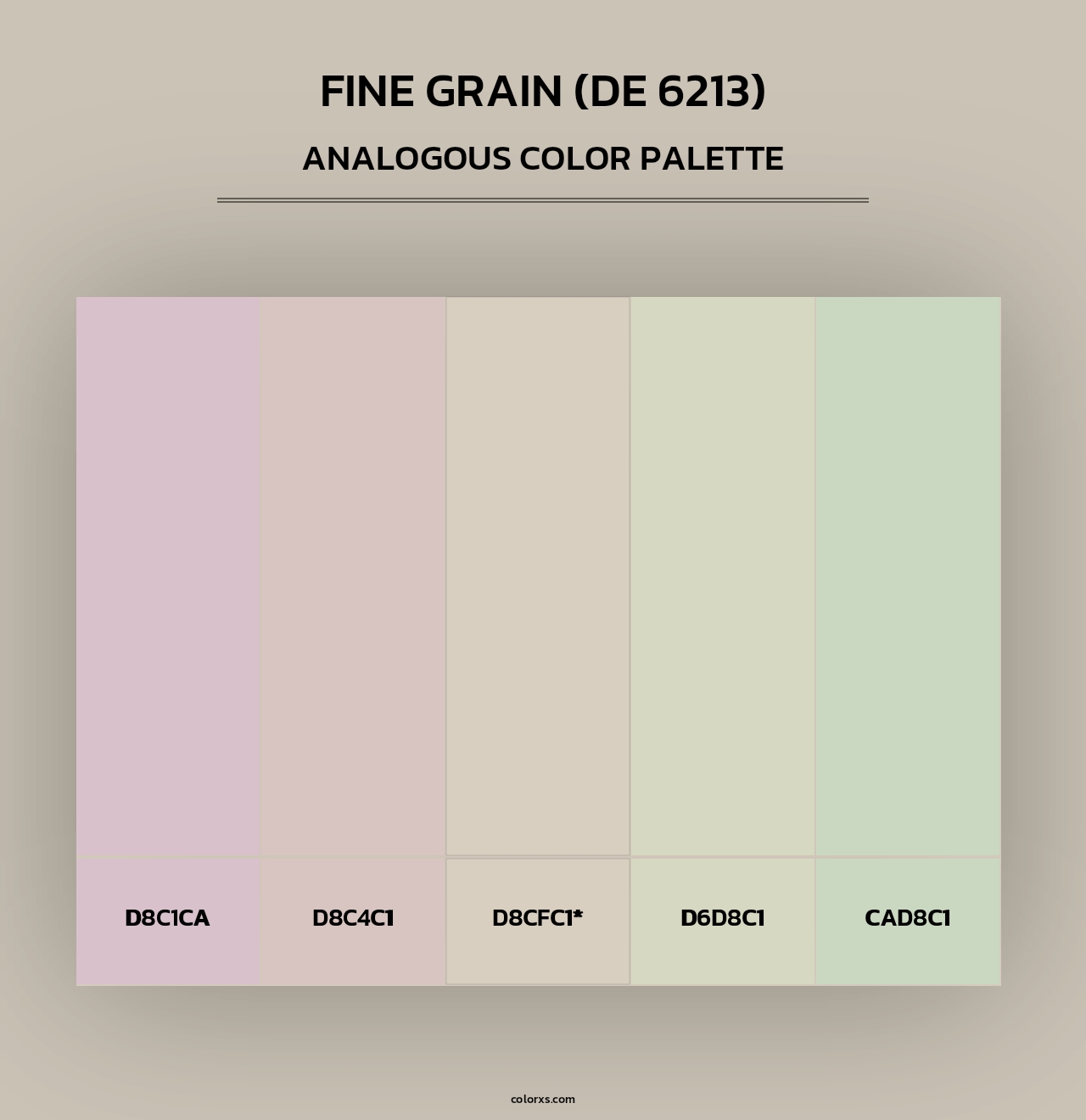 Fine Grain (DE 6213) - Analogous Color Palette