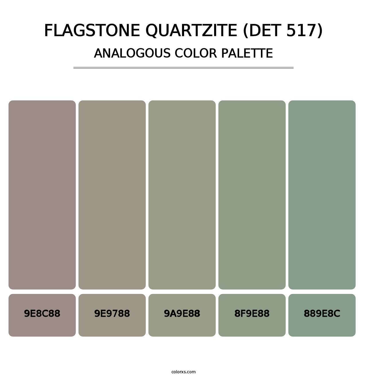 Flagstone Quartzite (DET 517) - Analogous Color Palette