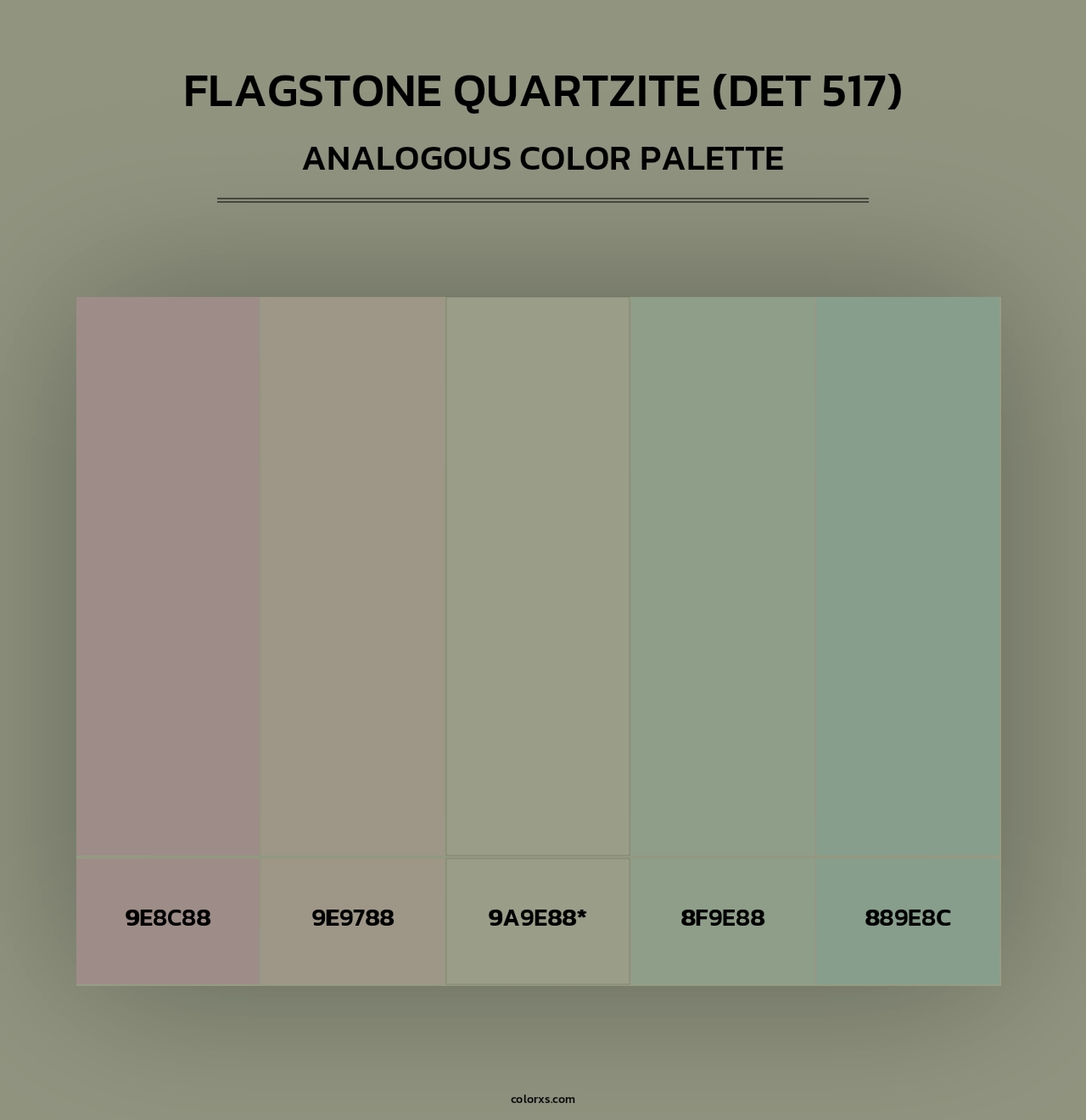 Flagstone Quartzite (DET 517) - Analogous Color Palette