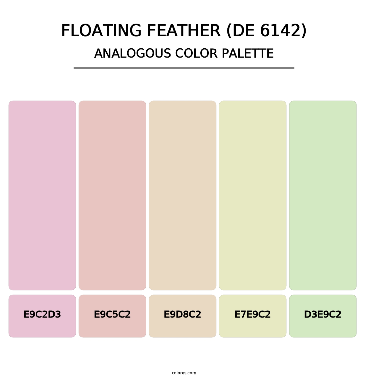 Floating Feather (DE 6142) - Analogous Color Palette