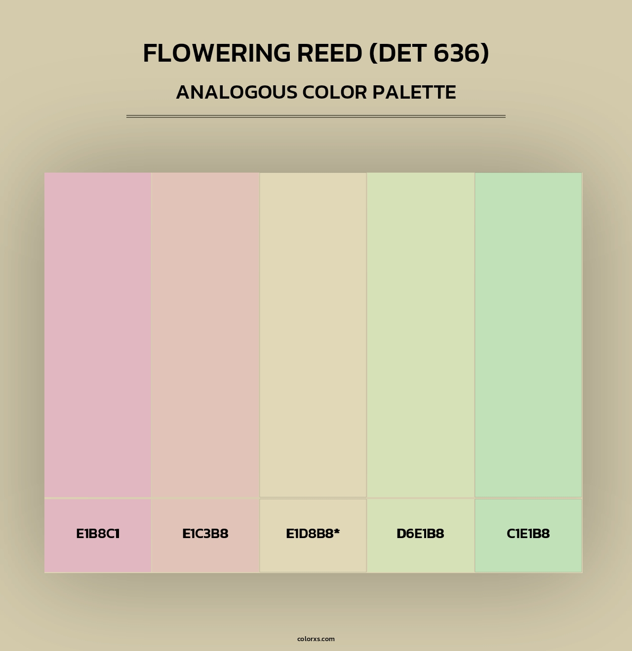 Flowering Reed (DET 636) - Analogous Color Palette