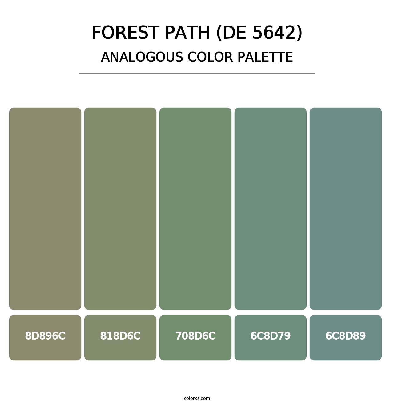 Forest Path (DE 5642) - Analogous Color Palette