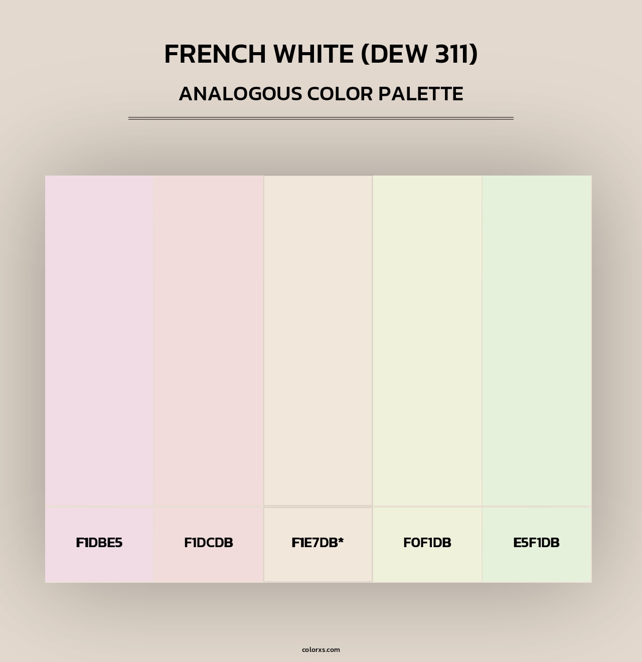 French White (DEW 311) - Analogous Color Palette