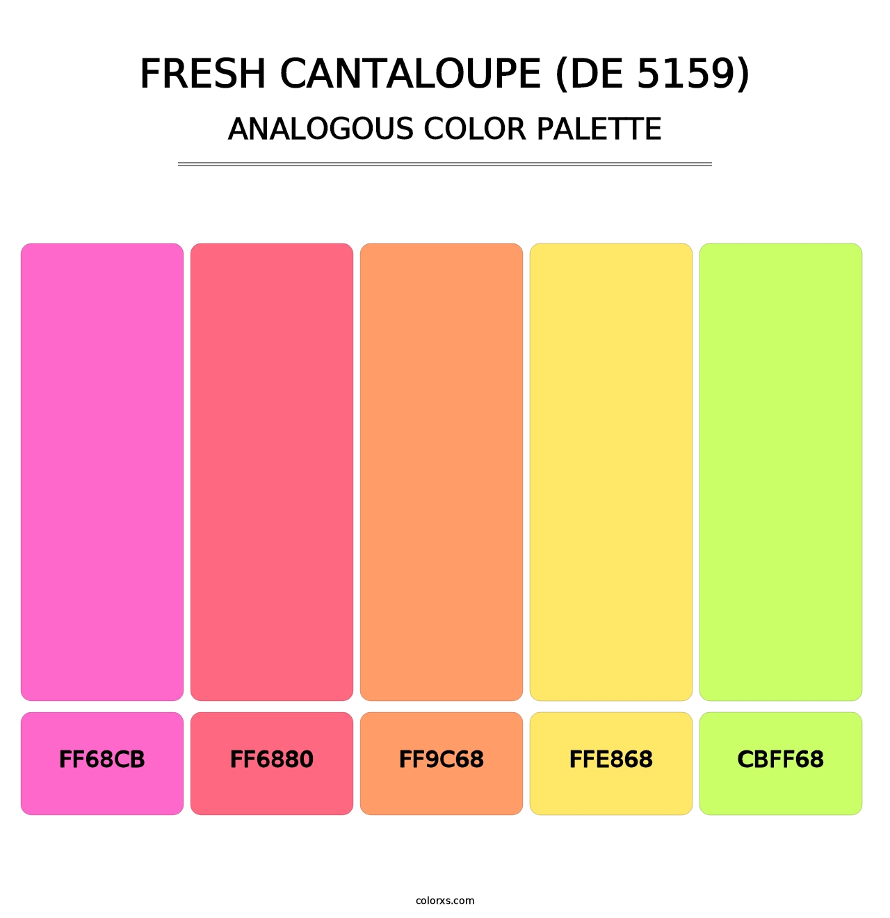 Fresh Cantaloupe (DE 5159) - Analogous Color Palette