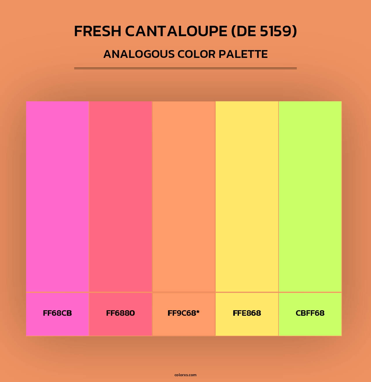 Fresh Cantaloupe (DE 5159) - Analogous Color Palette