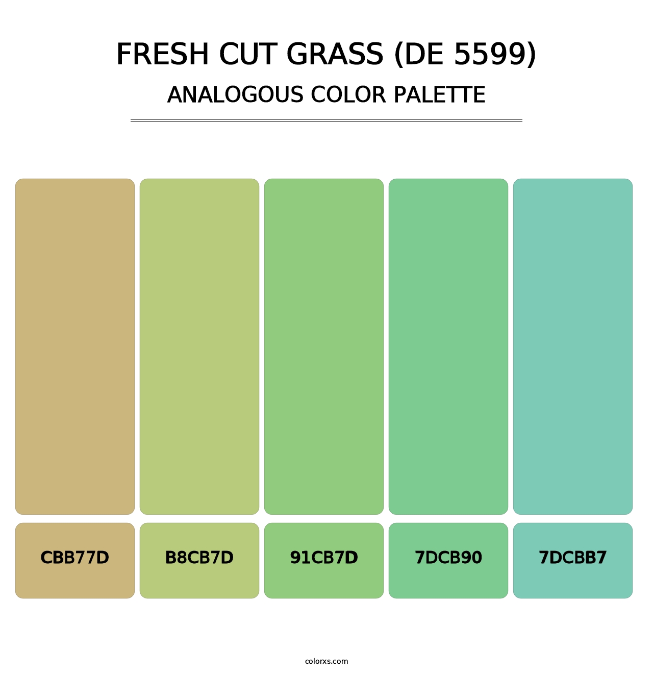 Fresh Cut Grass (DE 5599) - Analogous Color Palette