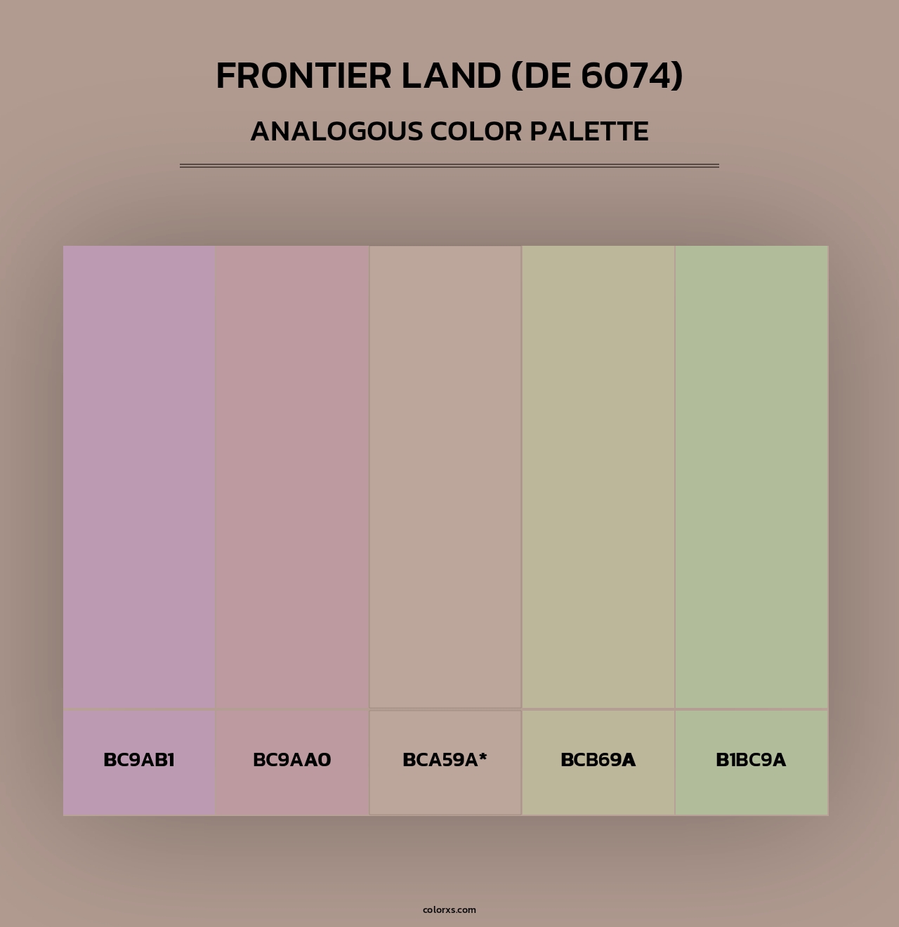Frontier Land (DE 6074) - Analogous Color Palette