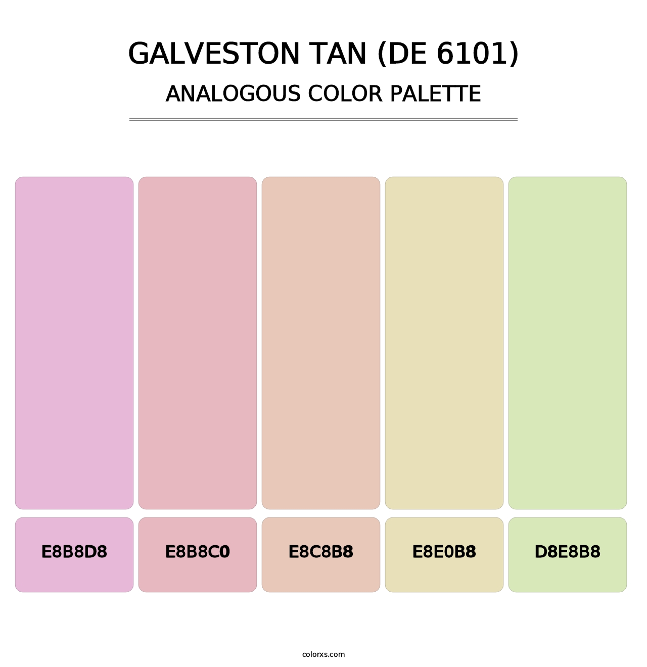 Galveston Tan (DE 6101) - Analogous Color Palette