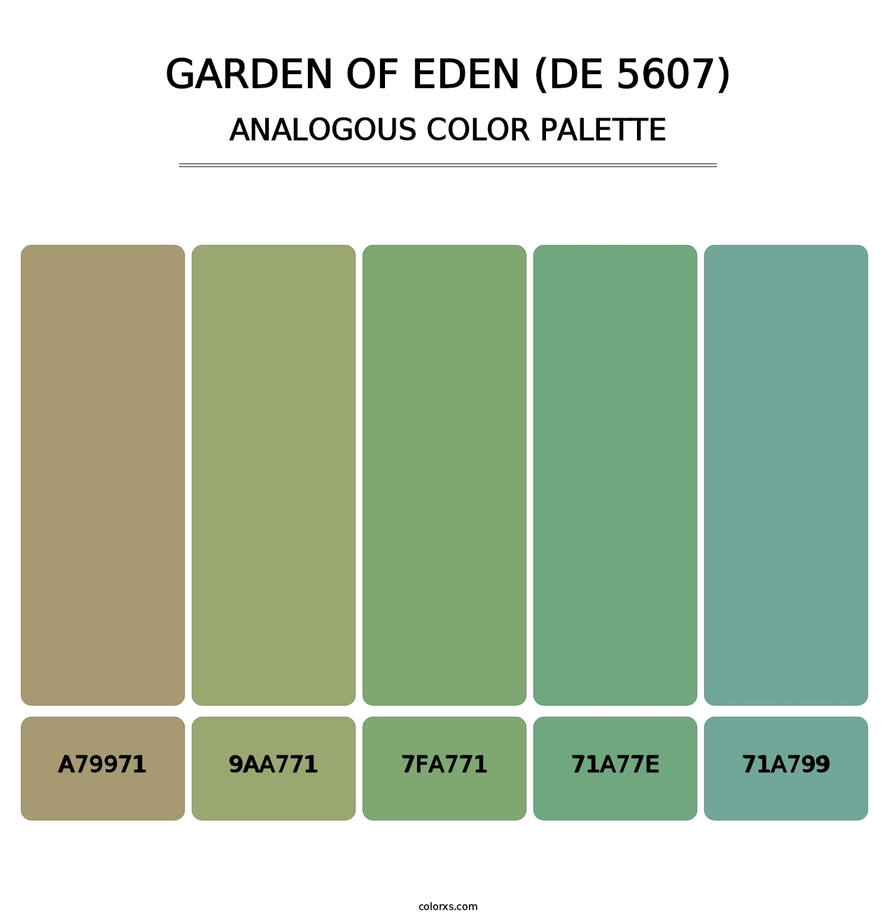 Garden of Eden (DE 5607) - Analogous Color Palette