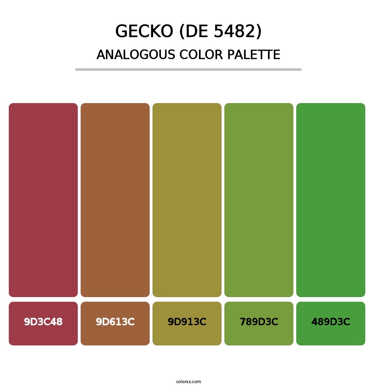 Gecko (DE 5482) - Analogous Color Palette