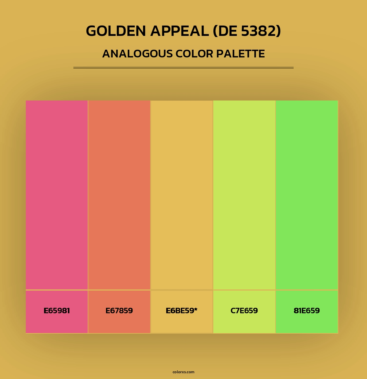 Golden Appeal (DE 5382) - Analogous Color Palette