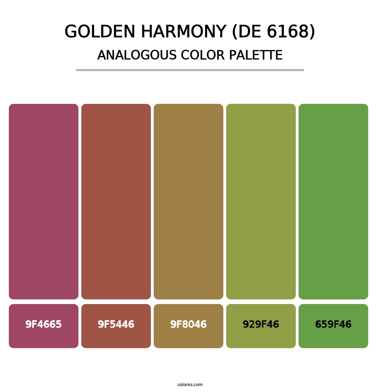 Golden Harmony (DE 6168) - Analogous Color Palette