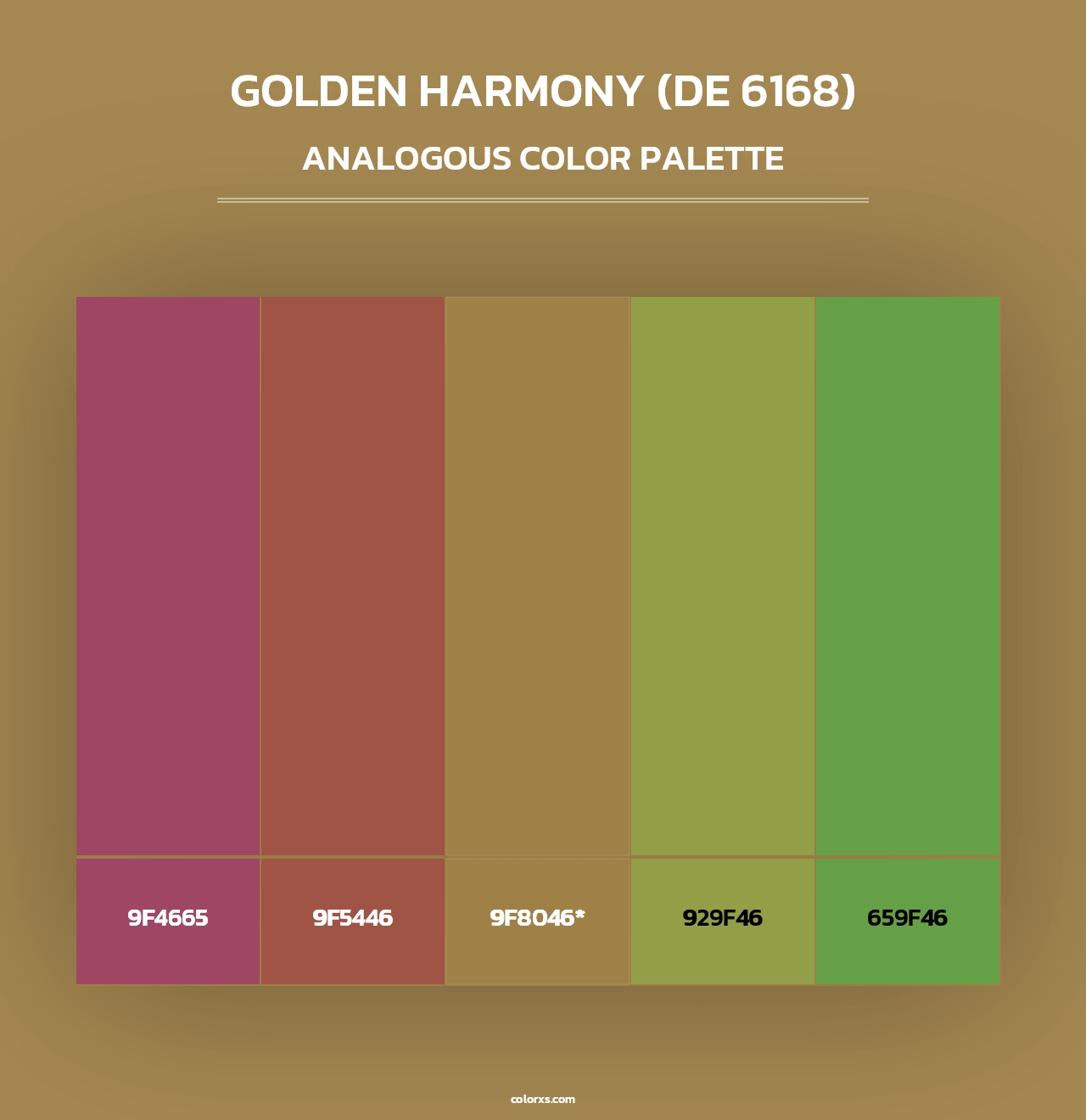 Golden Harmony (DE 6168) - Analogous Color Palette