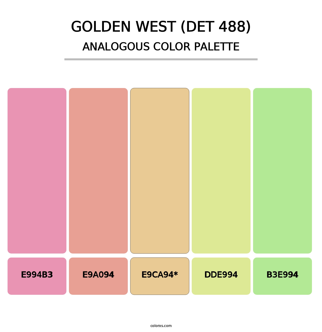 Golden West (DET 488) - Analogous Color Palette
