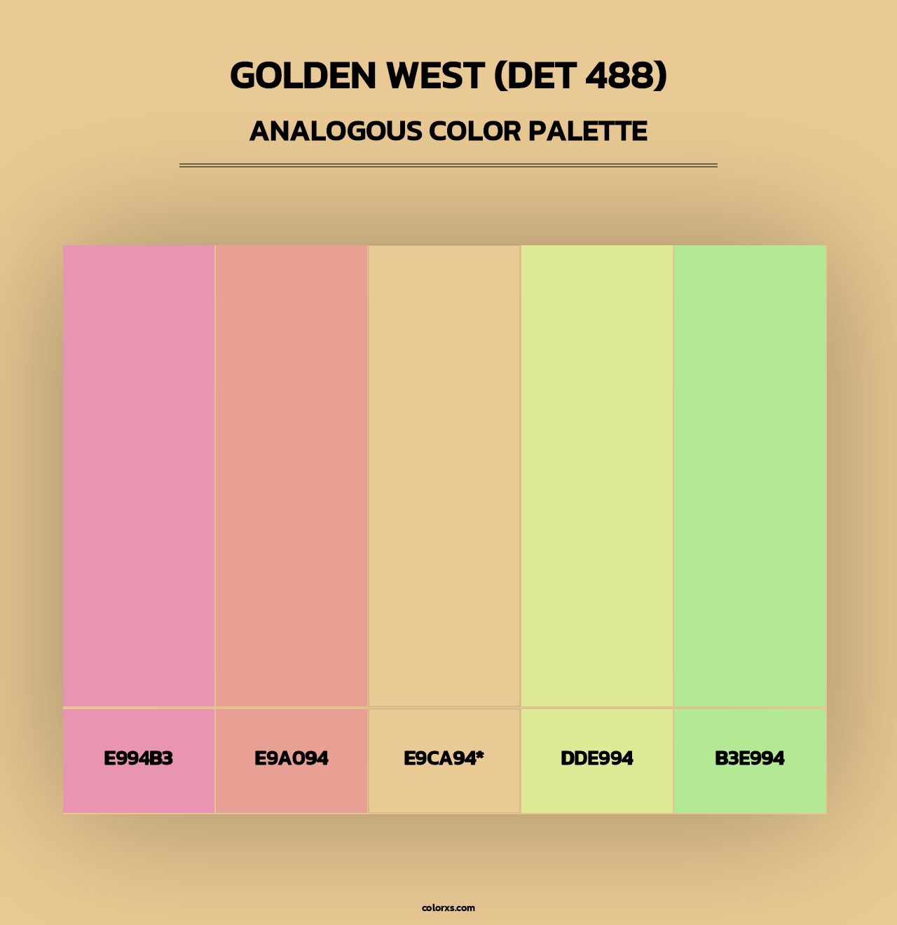 Golden West (DET 488) - Analogous Color Palette